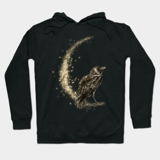 Raven Spirit Animal - Pagan Moon Hoodie